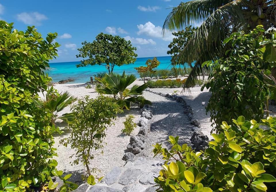 Pension Tiputa Lodge Rangiroa Dış mekan fotoğraf