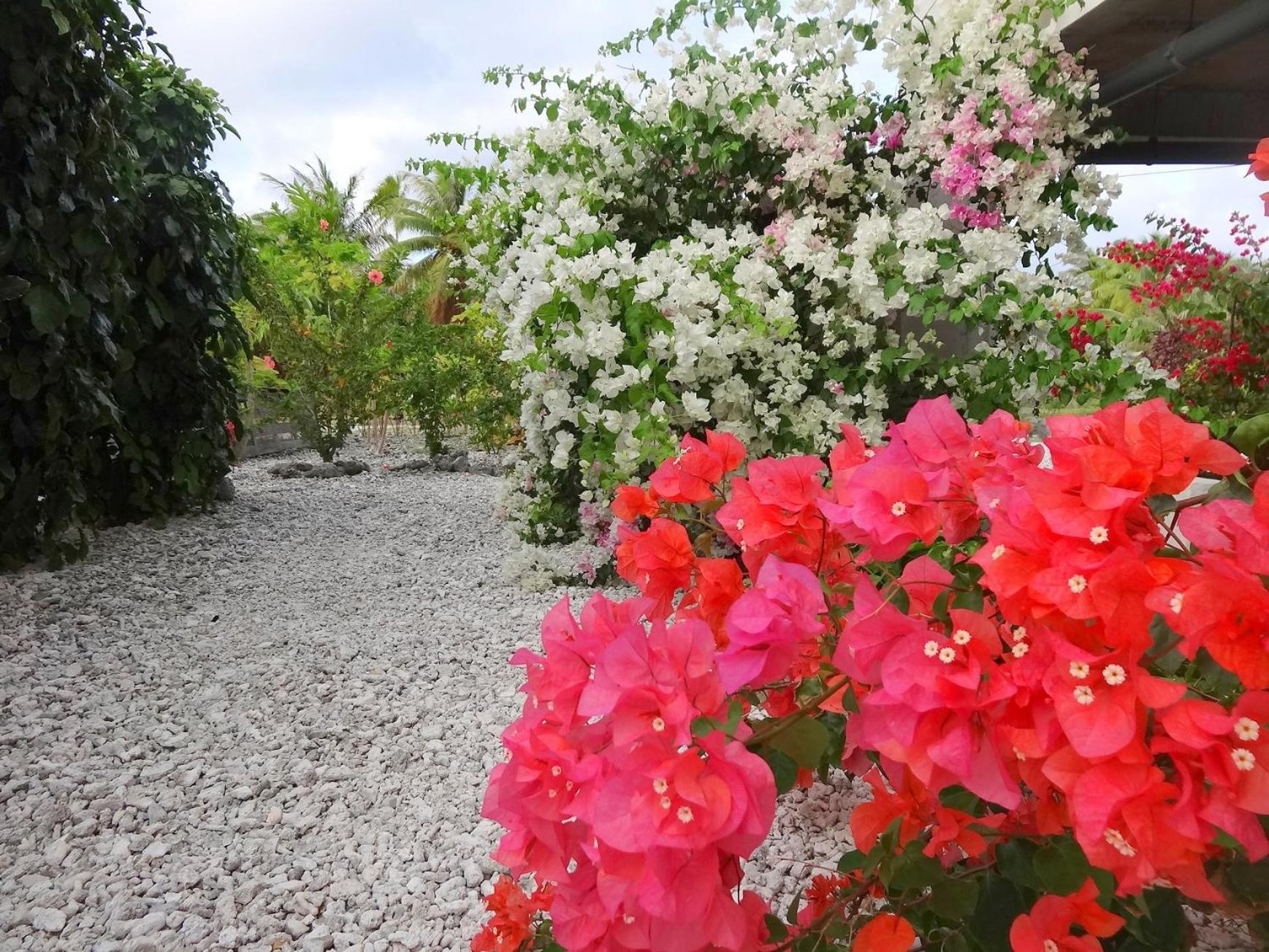 Pension Tiputa Lodge Rangiroa Dış mekan fotoğraf